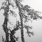 Imitating the Ink Painting of Kuo-Xi, Sung Dynasty, Stainless Mosquito Nails on Canvas, 162 x 112cm, 2010